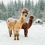 A La Ferme Aux Alpagas Апартаменты *