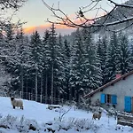 A La Ferme Aux Alpagas Sapois (Vosges)