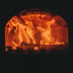 A La Ferme Aux Alpagas * Sapois (Vosges)