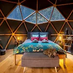 A La Ferme Aux Alpagas * Sapois (Vosges)