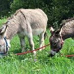 Апартаменты A La Ferme Aux Alpagas *