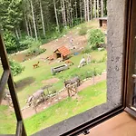 公寓 A La Ferme Aux Alpagas Sapois (Vosges)