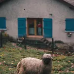Appartamento à La Ferme Aux Alpagas