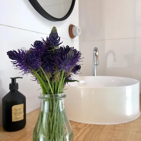 A La Ferme Aux Alpagas