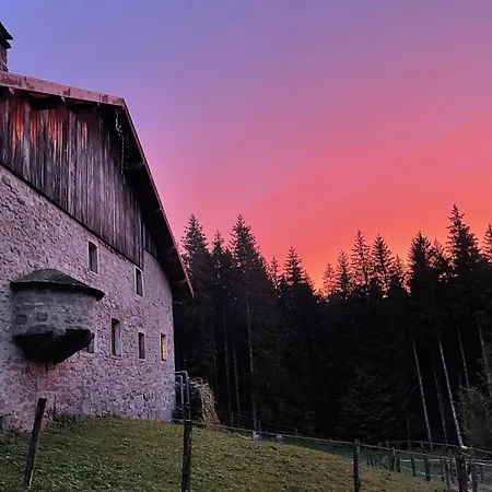 A La Ferme Aux Alpagas * Sapois (Vosges)