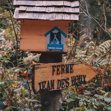 A La Ferme Aux Alpagas *