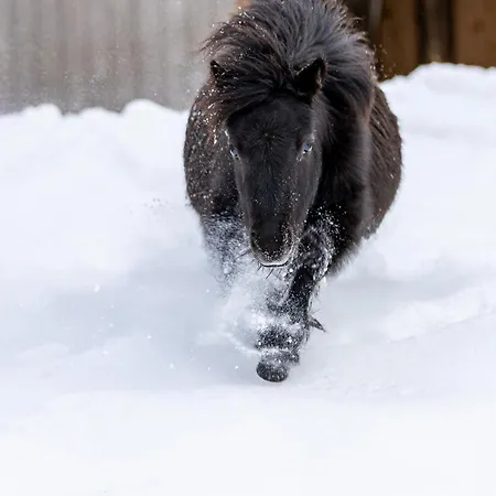 شقة A La Ferme Aux Alpagas *