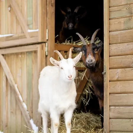 A La Ferme Aux Alpagas شقة Sapois (Vosges)