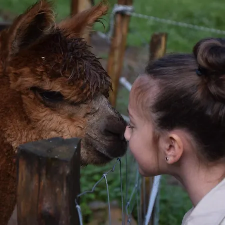 Apartmán A La Ferme Aux Alpagas