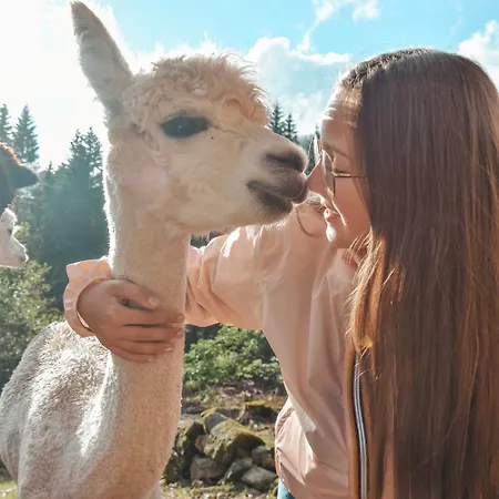 A La Ferme Aux Alpagas شقة