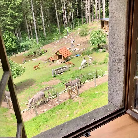 Apartamento A La Ferme Aux Alpagas Sapois (Vosges)