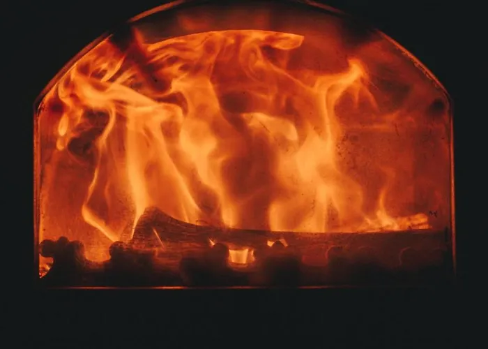 A La Ferme Aux Alpagas * Sapois (Vosges)