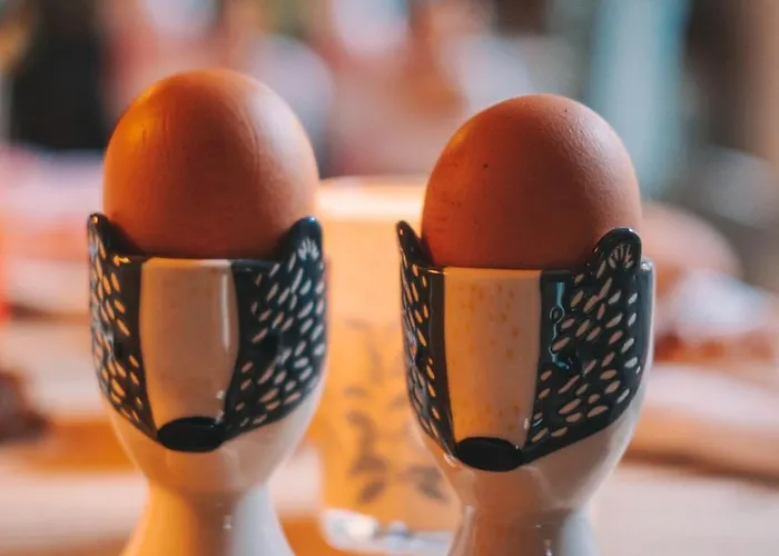 A La Ferme Aux Alpagas * Sapois (Vosges)