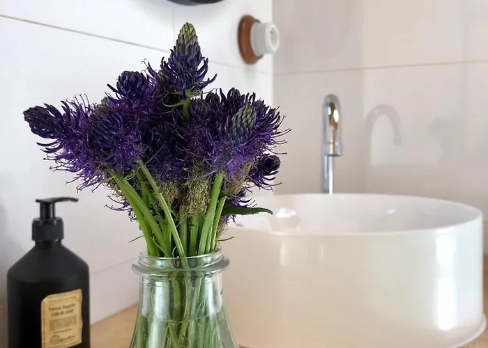 A La Ferme Aux Alpagas