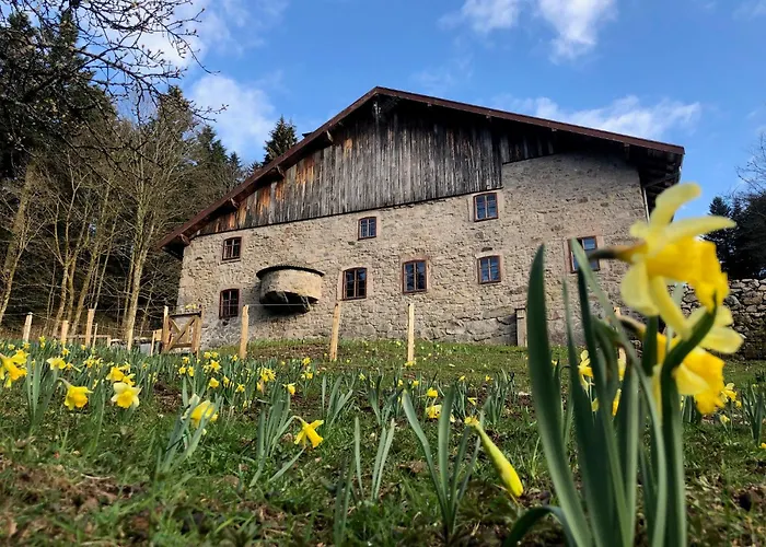 A La Ferme Aux Alpagas *