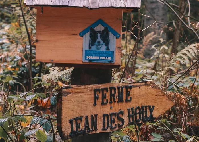 A La Ferme Aux Alpagas *