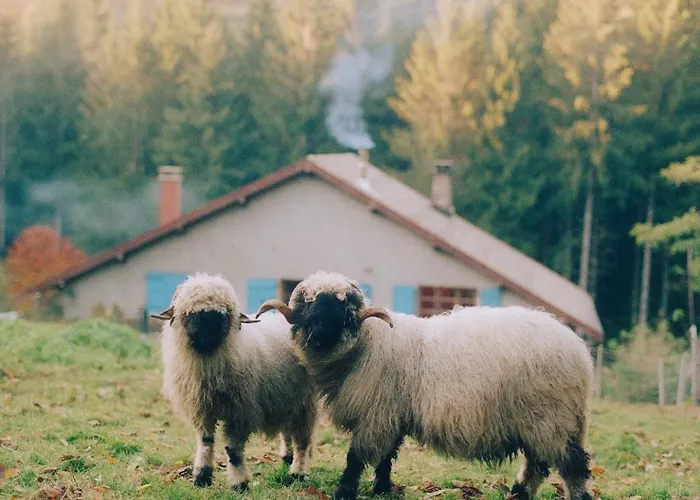 Apartmán A La Ferme Aux Alpagas *