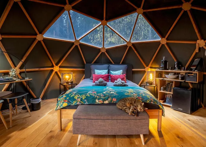 A La Ferme Aux Alpagas * Sapois (Vosges)