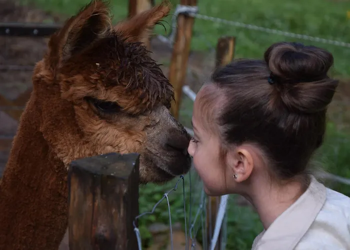 Apartmán A La Ferme Aux Alpagas