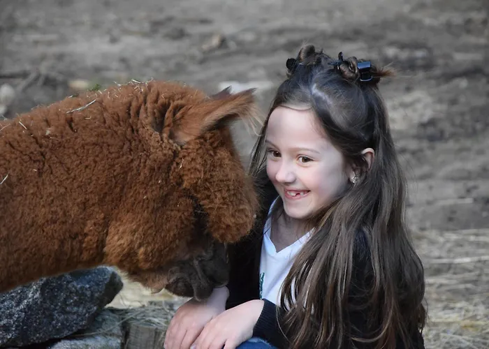 A La Ferme Aux Alpagas