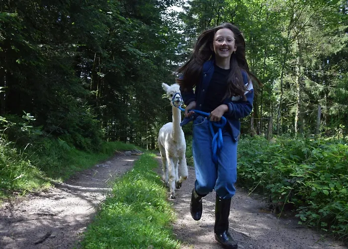A La Ferme Aux Alpagas * Sapois (Vosges)